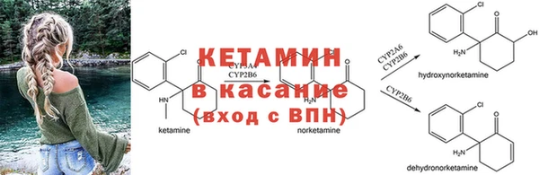 СК Богородицк
