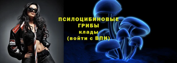 СК Богородицк
