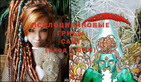 мдма Богданович