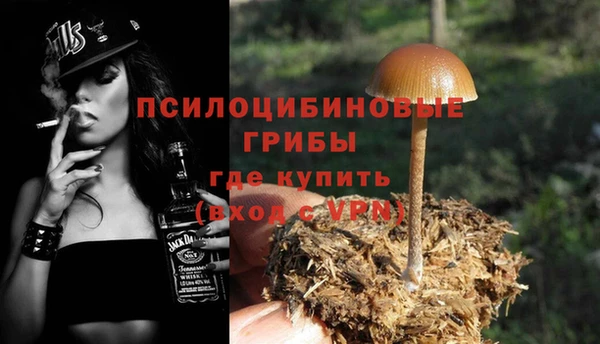 трава Беломорск