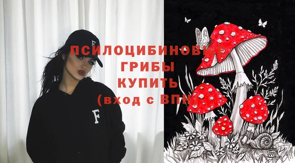 соль ск Богородск