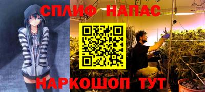 Альфа ПВП Жуковский