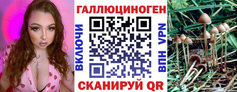 Галлюциногенные грибы Psilocybe  дарк нет телеграм  Верхняя Пышма 